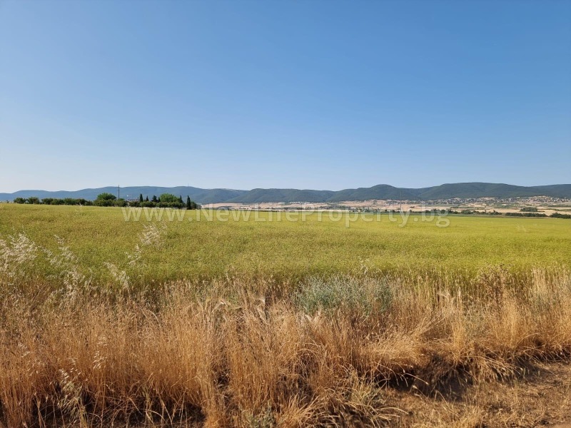 Til salg  Jord region Burgas , Tankovo , 8 dka | 47420479 - billede [6]