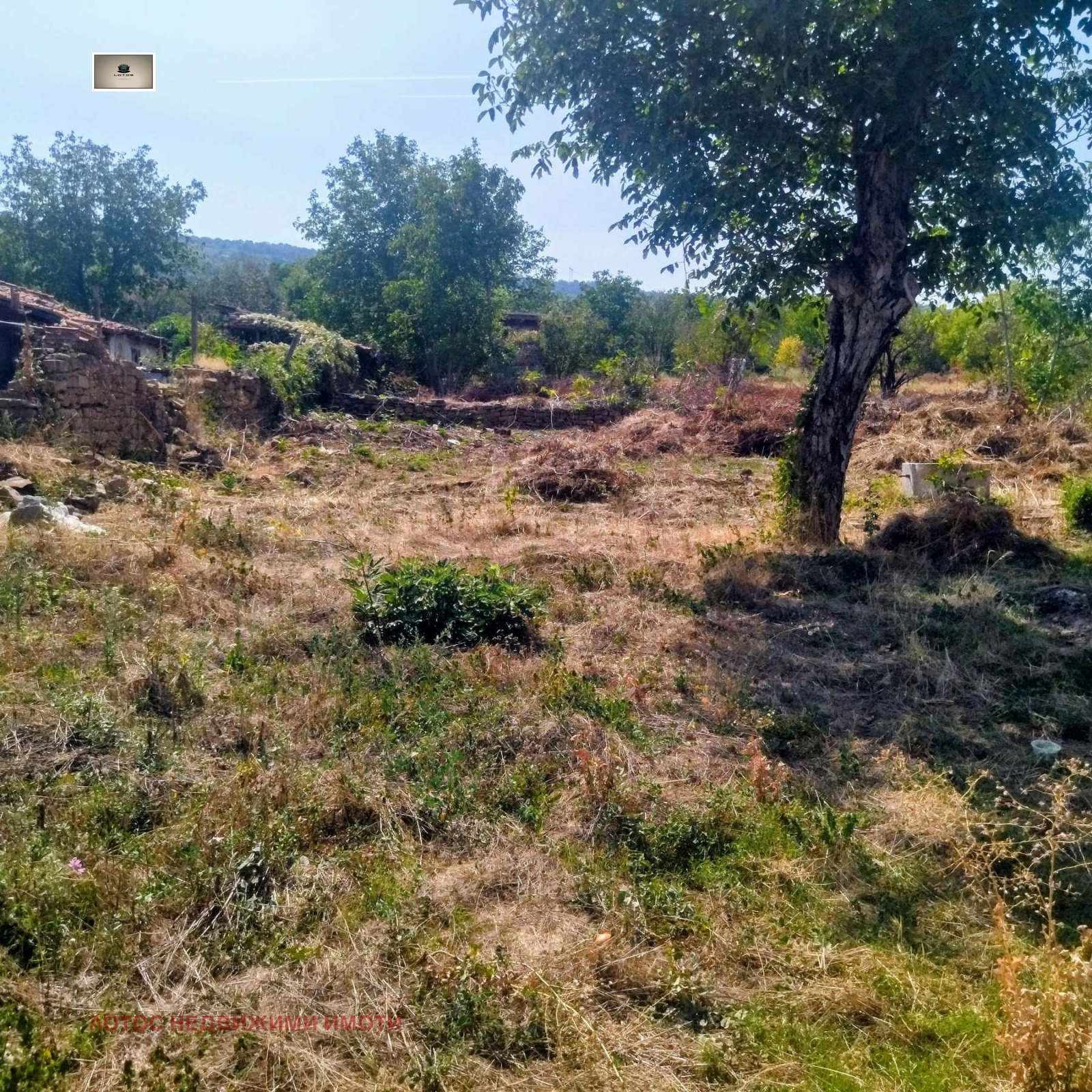 Продава КЪЩА, гр. Лясковец, област Велико Търново, снимка 4 - Къщи - 55295823