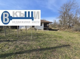 ������ ������� ����