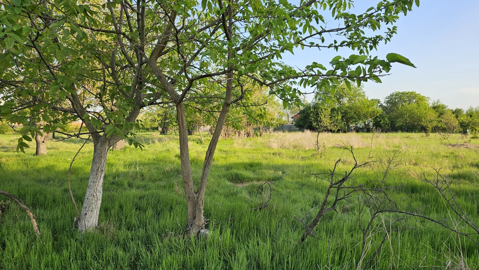 ������� ������ | Imot.bg � ����������� 1