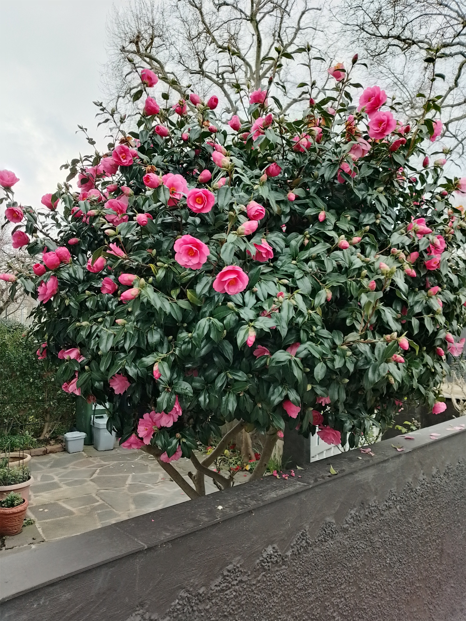 ������� ������ | Imot.bg � ����������� 1