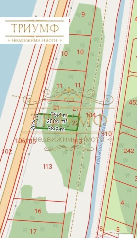 ����� ������� ������,�. �����, ������ ������