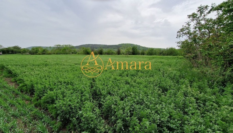 For Sale  Plot region Varna , Belogradets , 1540 sq.m | 85005872