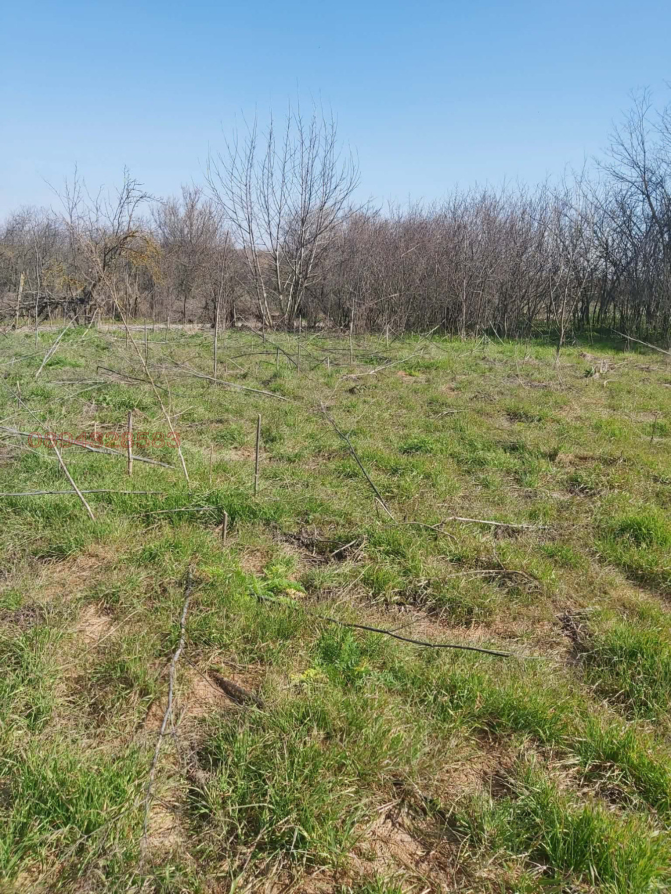 Продава КЪЩА, с. Средец, област Стара Загора, снимка 2 - Къщи - 54264227