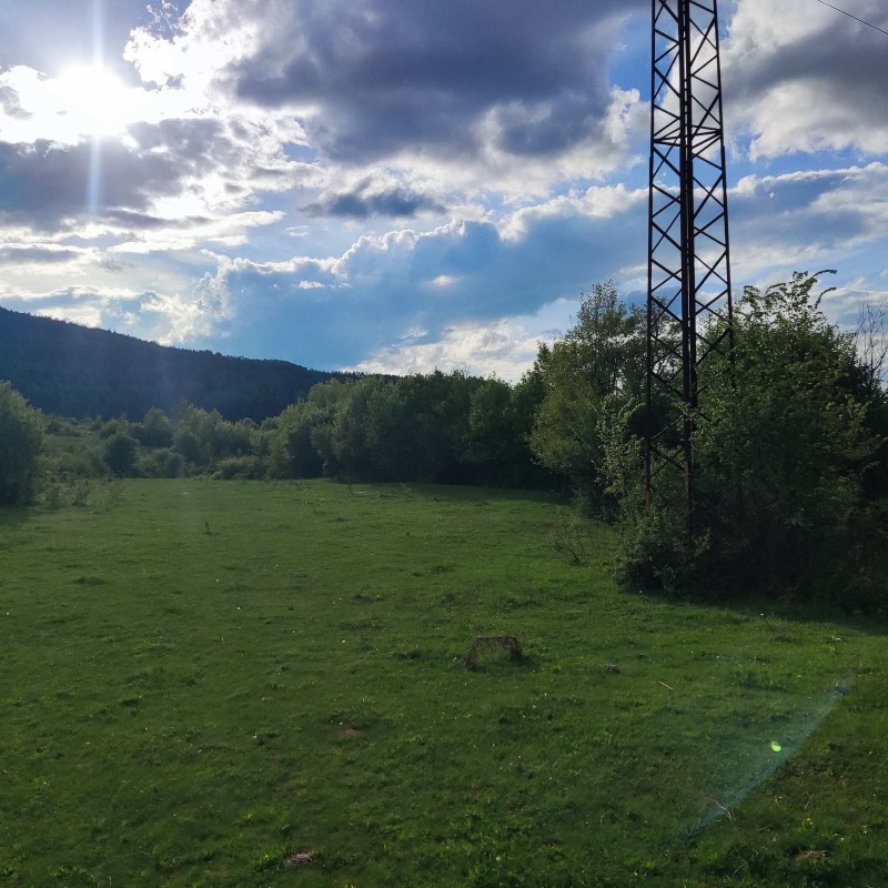 Продава  Земеделска земя област Перник , с. Студена , 12 дка | 57882256 - изображение [6]
