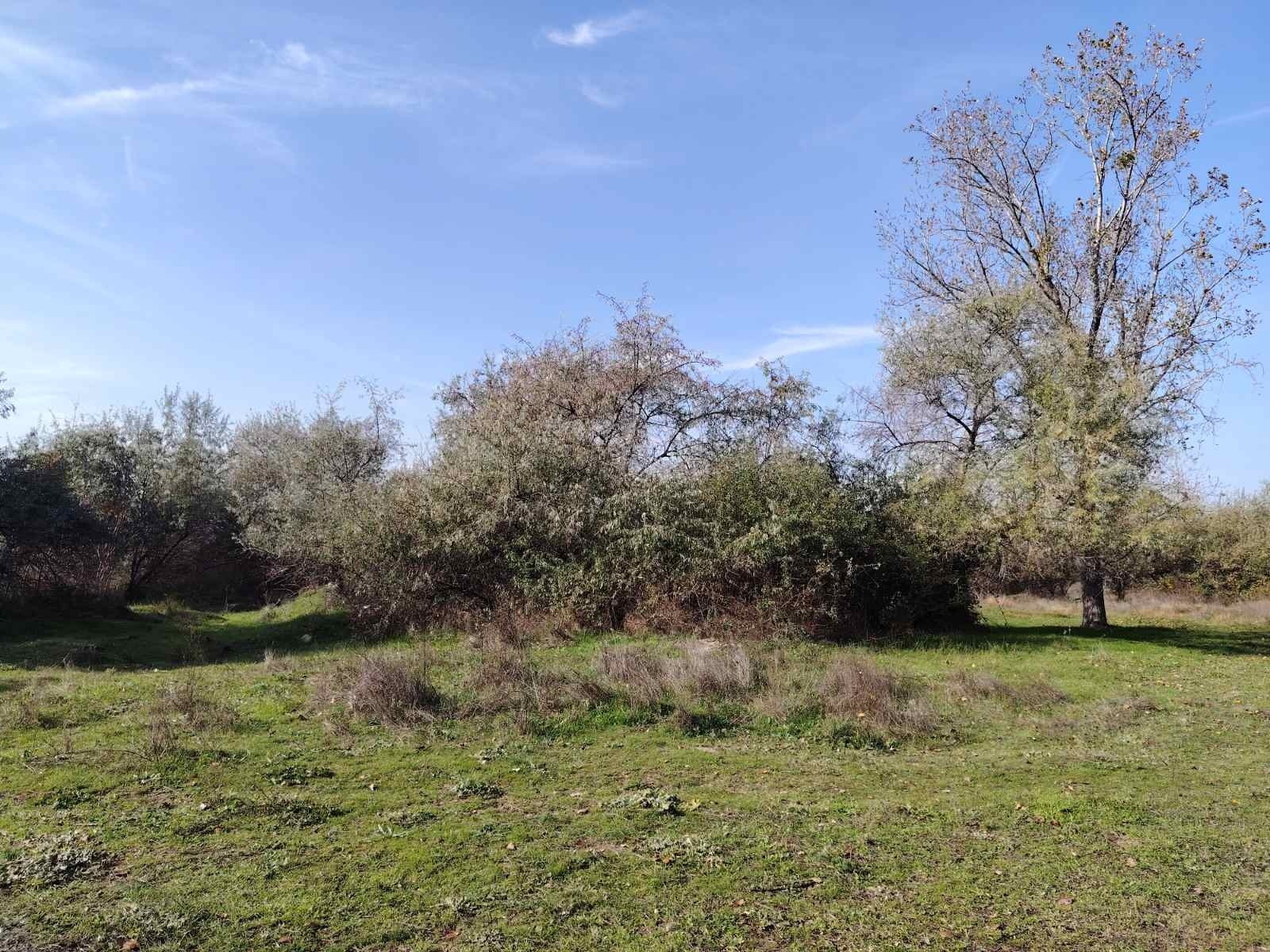 Продава ПАРЦЕЛ, гр. Несебър, област Бургас, снимка 2 - Парцели - 54411555