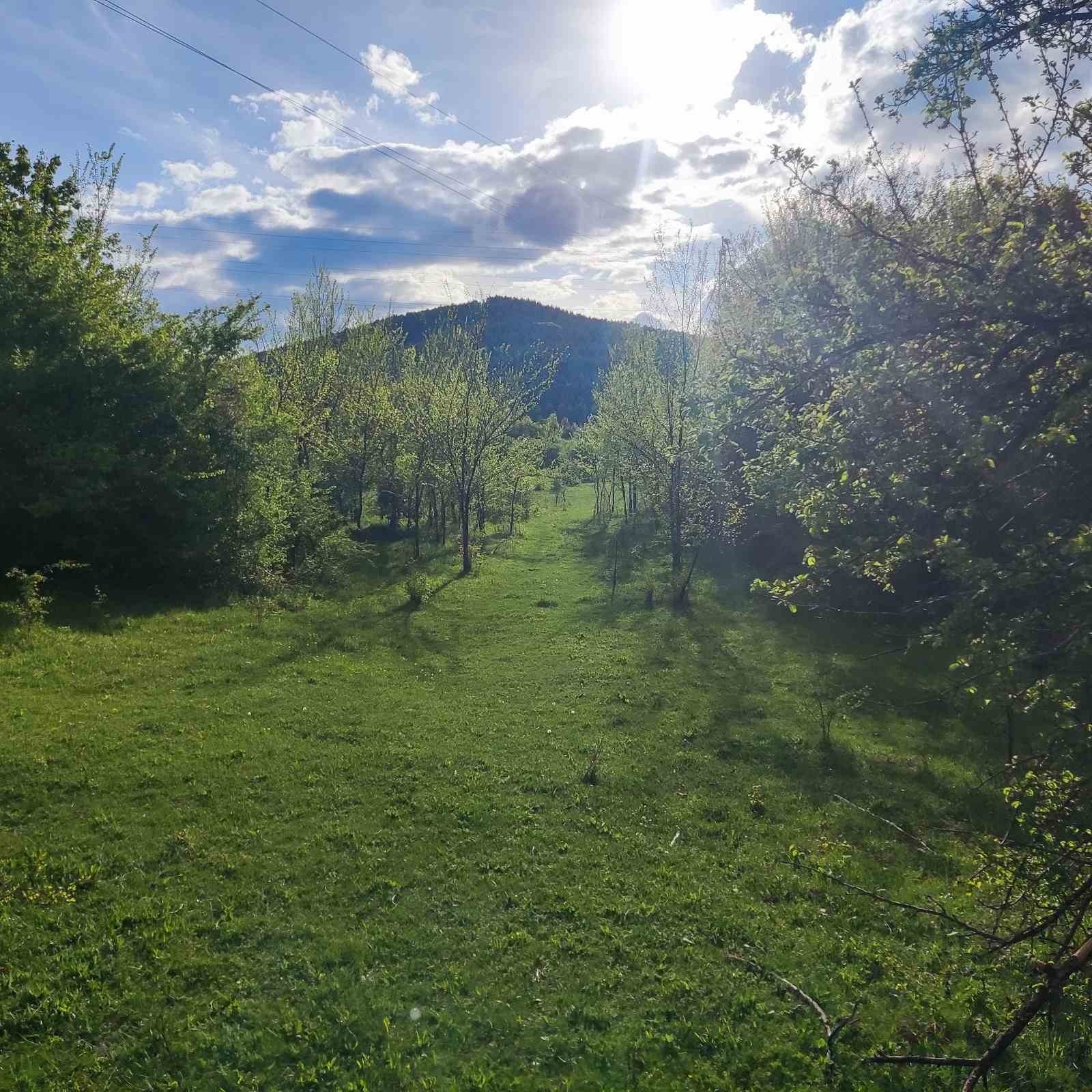 Продава ЗЕМЕДЕЛСКА ЗЕМЯ, с. Студена, област Перник, снимка 2 - Земеделска земя - 52499653