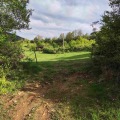 Продава ЗЕМЕДЕЛСКА ЗЕМЯ, с. Студена, област Перник, снимка 4