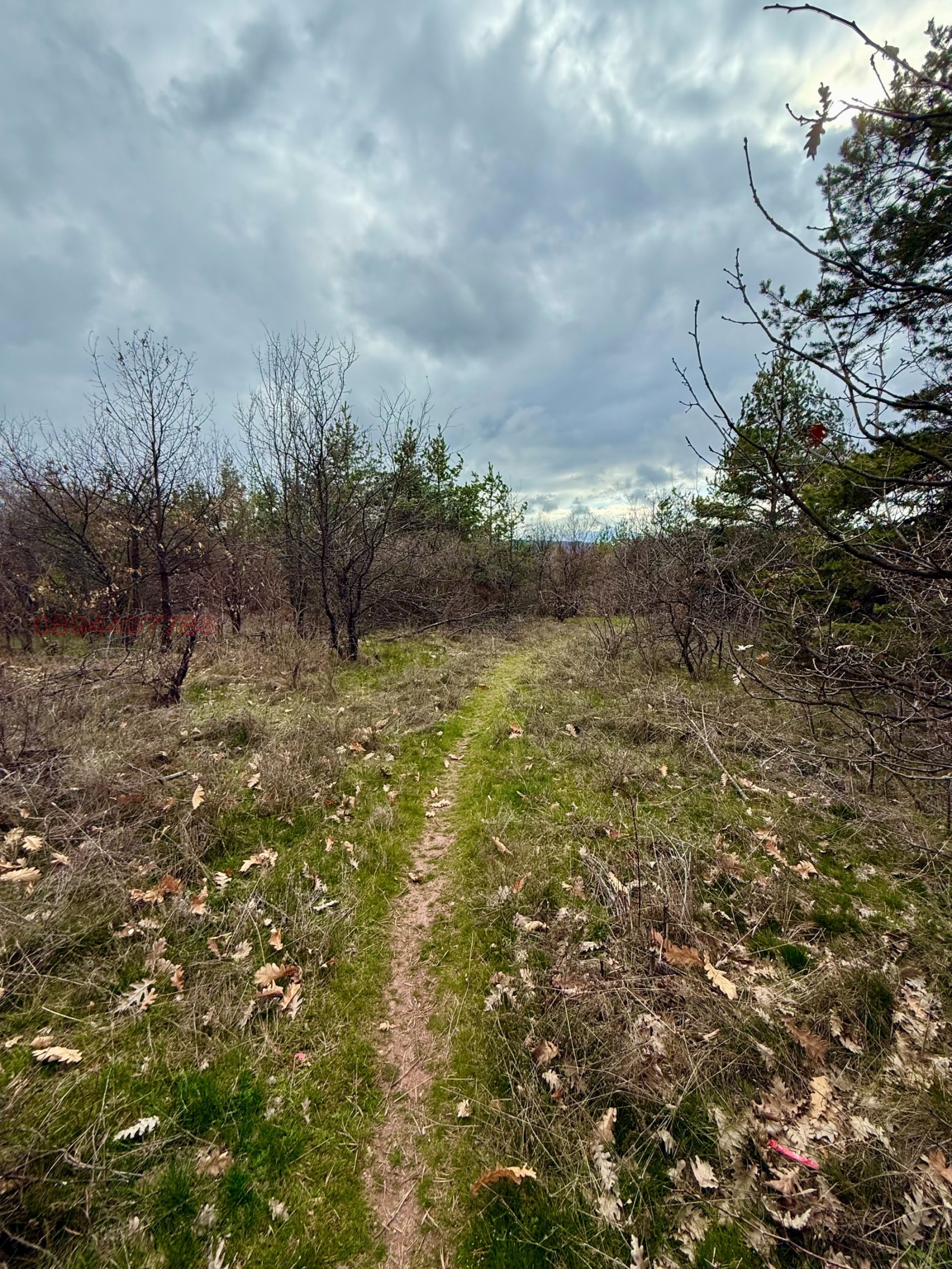 ������� ������ | Imot.bg � ����������� 8