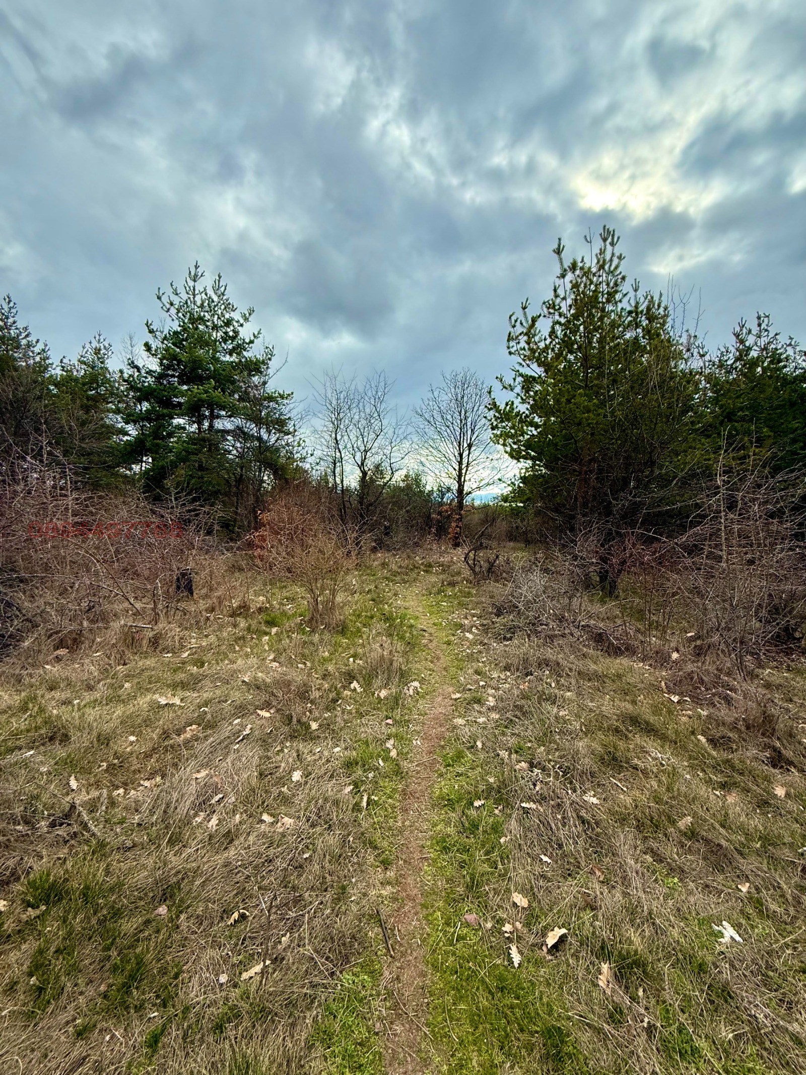 ������� ������ | Imot.bg � ����������� 7