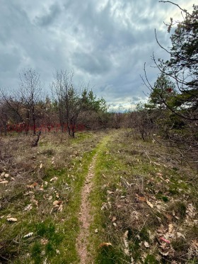 ������� ������ | Imot.bg � ����� ������ 8