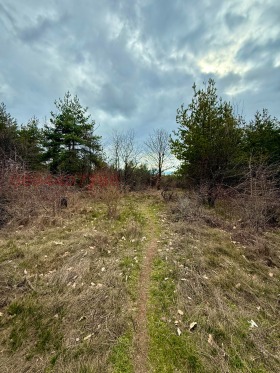 ������� ������ | Imot.bg � ����� ������ 7