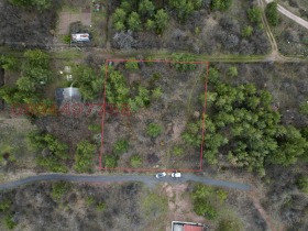 ������ ������� ������