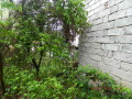 Продава КЪЩА, град Смолян, Станевска махала • 25600 € • 15623559 — Holmes.bg