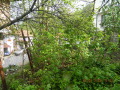 Продава КЪЩА, град Смолян, Станевска махала • 25600 € • 15623559 — Holmes.bg