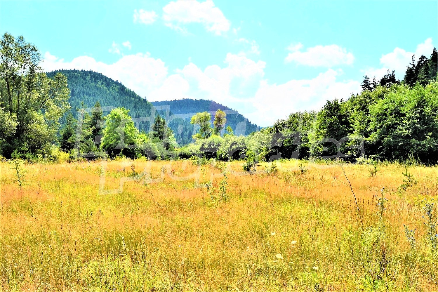 ������� ������ | Imot.bg � ����������� 6