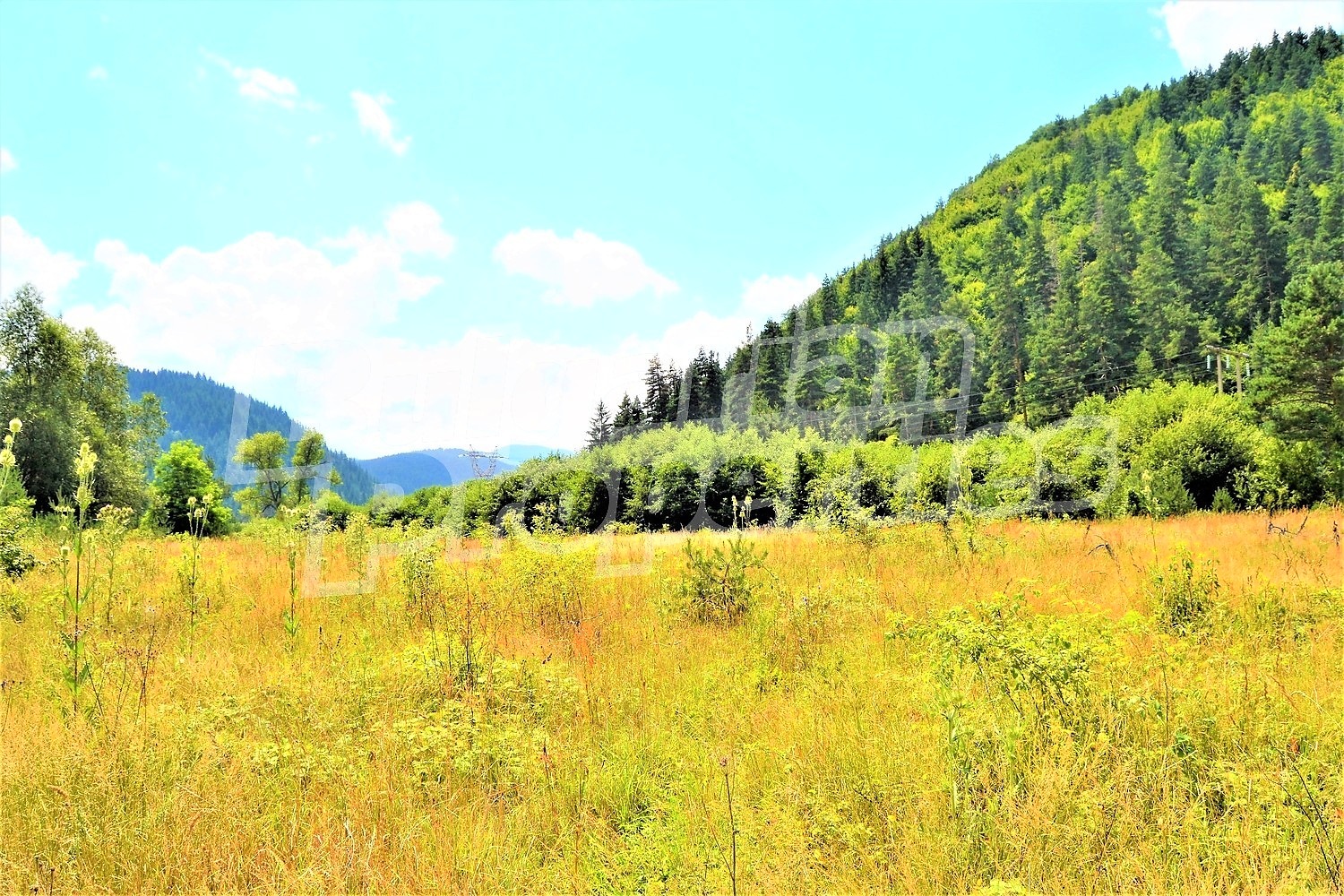 ������� ������ | Imot.bg � ����������� 7