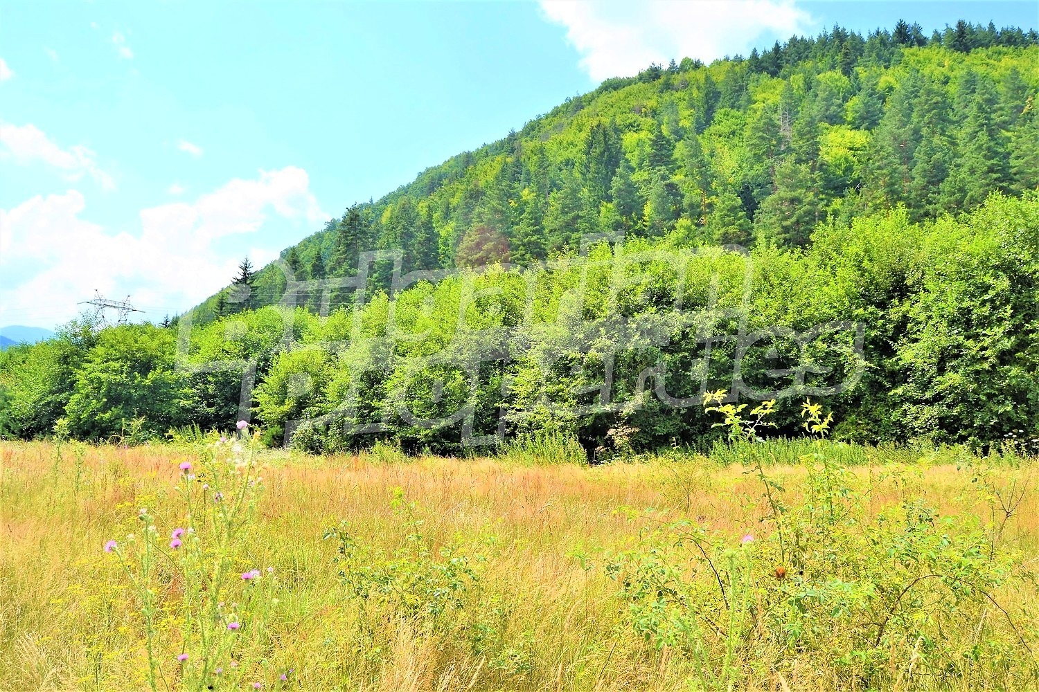 ������� ������ | Imot.bg � ����������� 8