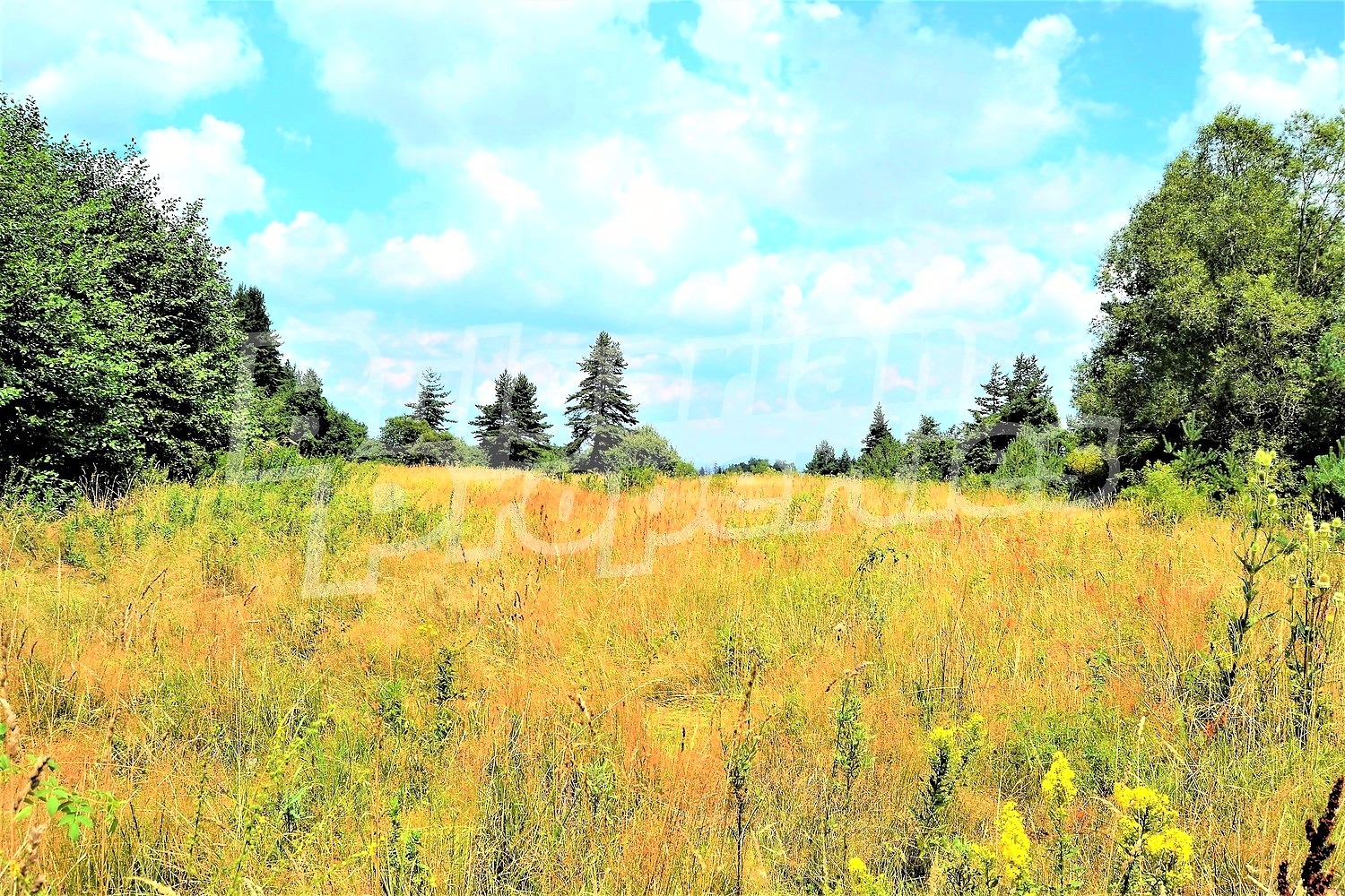 ������� ������ | Imot.bg � ����������� 11