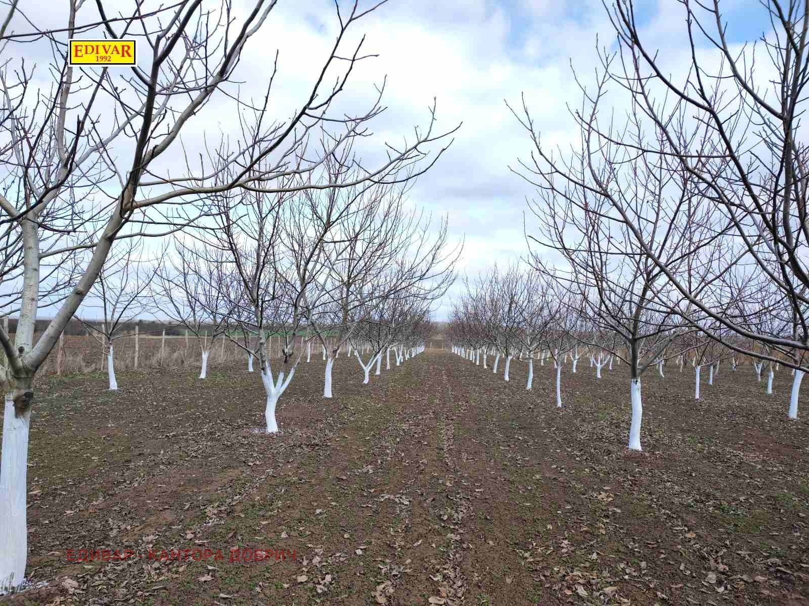 ������� ���������� ���� | Imot.bg � ����������� 1