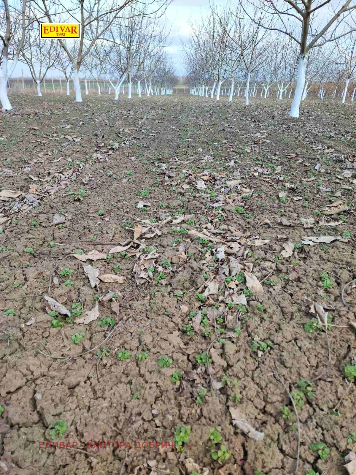 ������� ���������� ���� | Imot.bg � ����������� 4