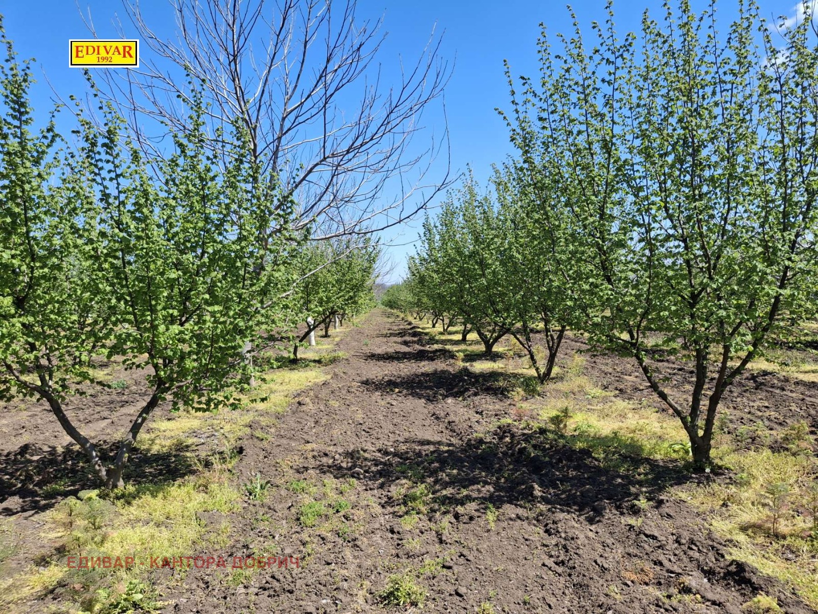 ������� ���������� ���� | Imot.bg � ����������� 3