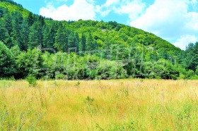 ������� ������ | Imot.bg � ����� ������ 9