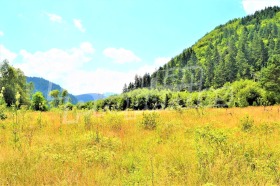 ������� ������ | Imot.bg � ����� ������ 7