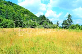 ������� ������ | Imot.bg � ����� ������ 10