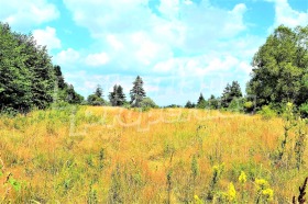 ������� ������ | Imot.bg � ����� ������ 11