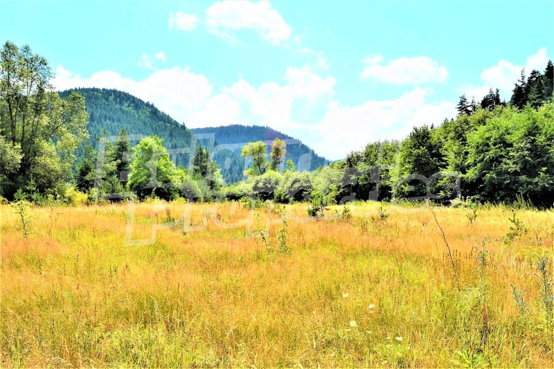 Продава ПАРЦЕЛ, с. Бели Искър, област София област, снимка 6 - Парцели - 53179505