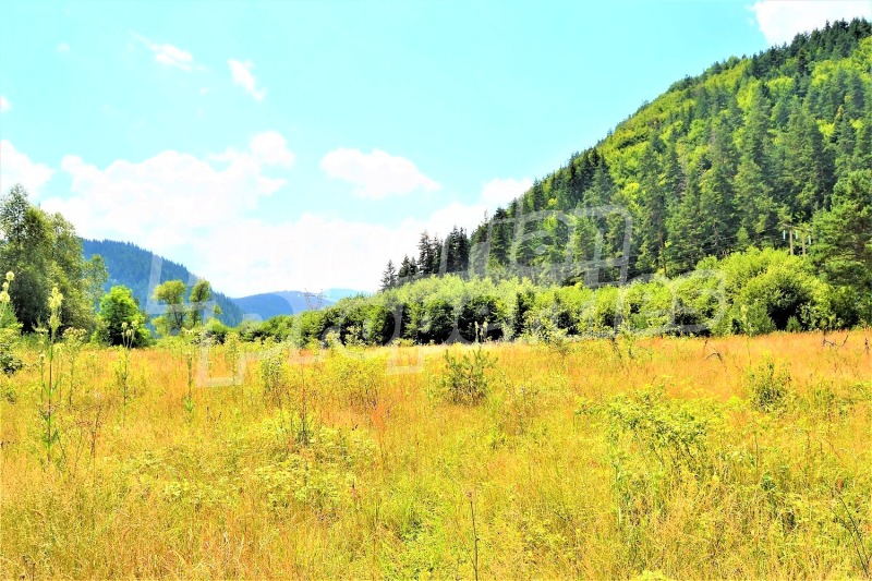 Продава ПАРЦЕЛ, с. Бели Искър, област София област, снимка 7 - Парцели - 53179505