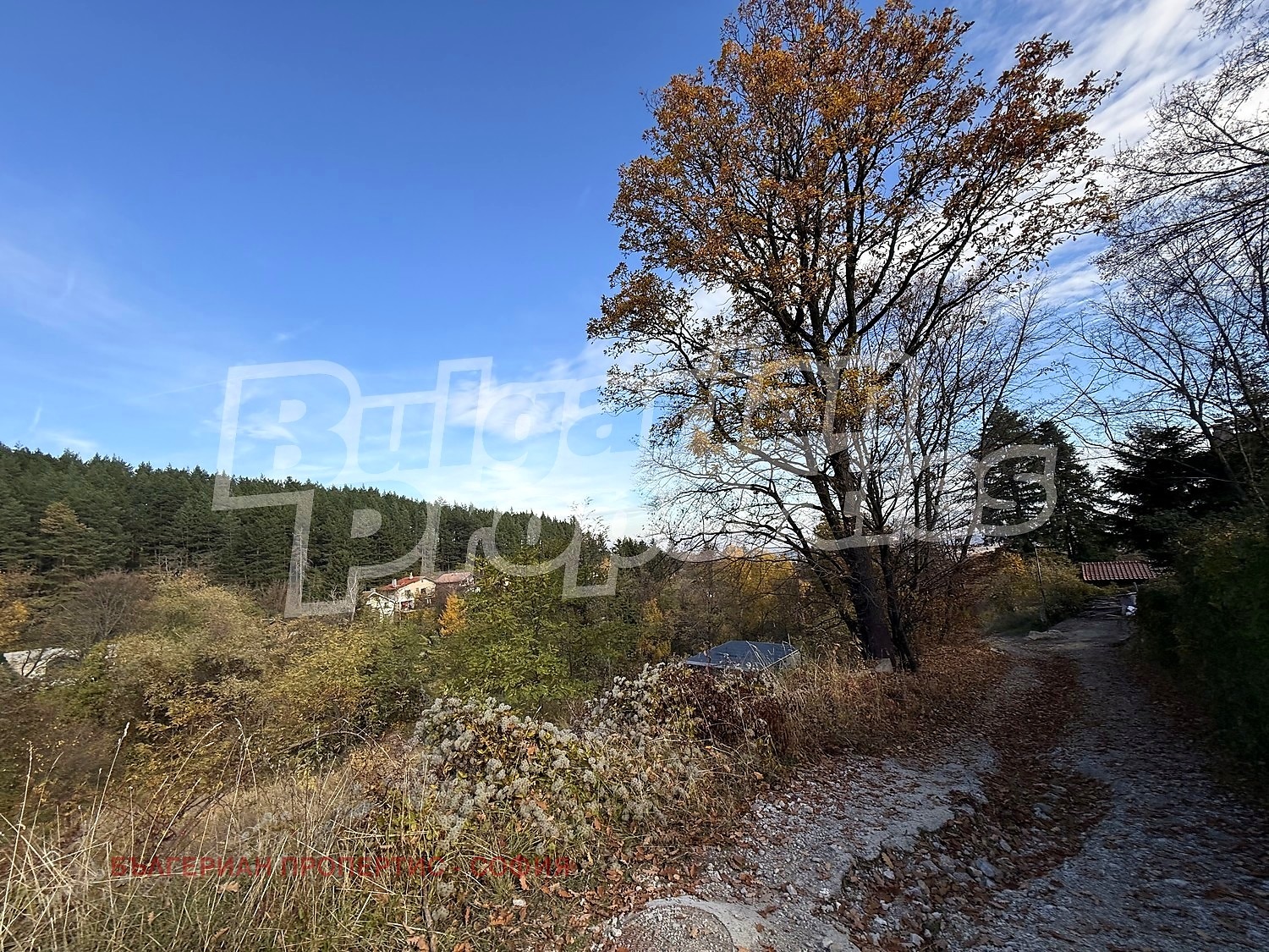 ������� ������ | Imot.bg � ����������� 12