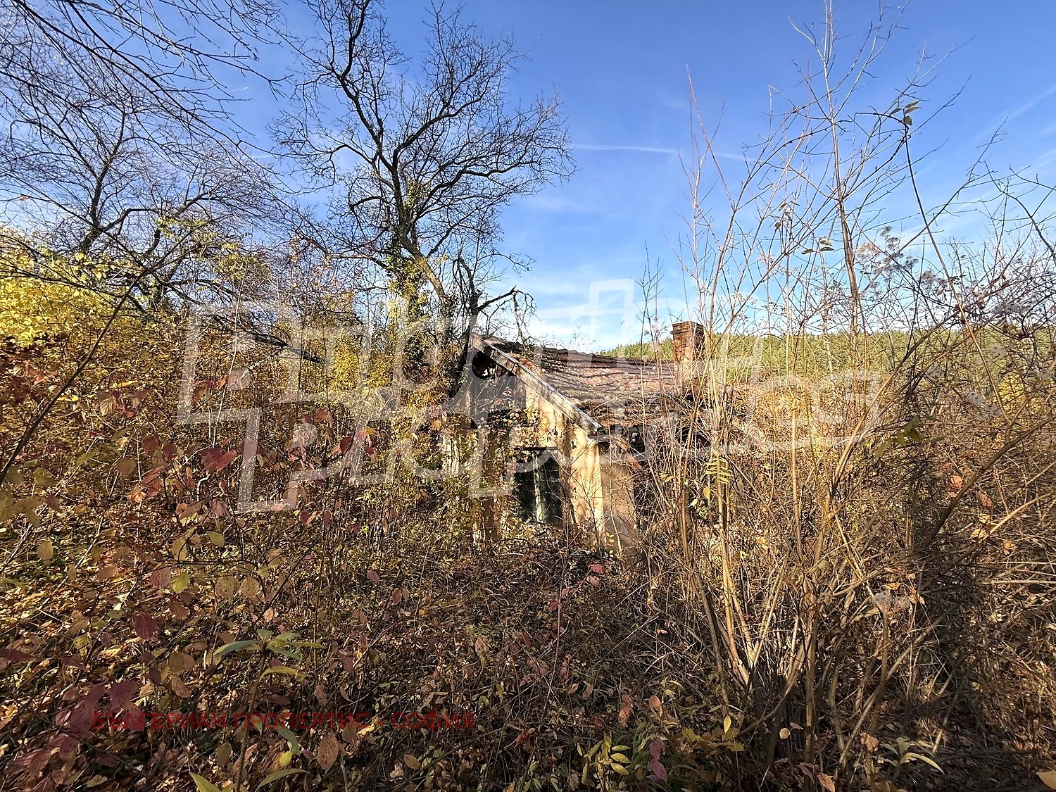 ������� ������ | Imot.bg � ����������� 17