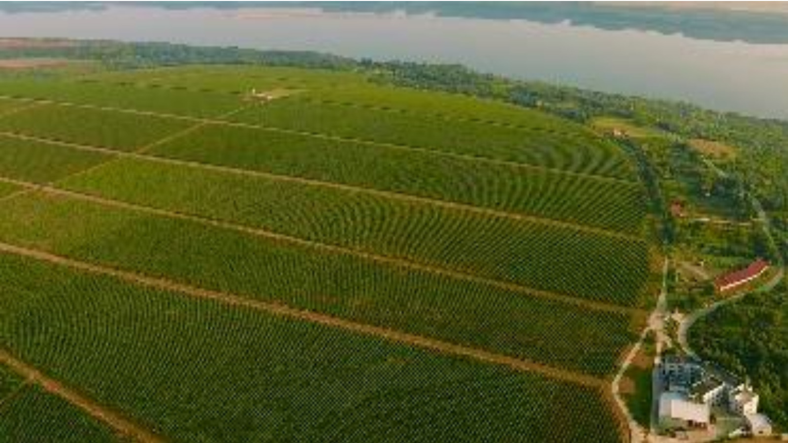 ������� ���������� ���� | Imot.bg � ����������� 1