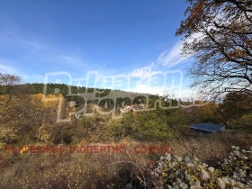 ������� ������ | Imot.bg � ����� ������ 11