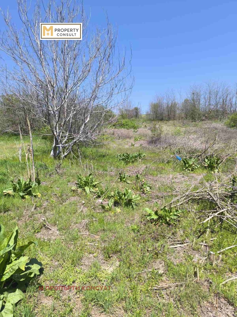 Na sprzedaż  Działka region Plewen , Podem , 1124 mkw | 56761547