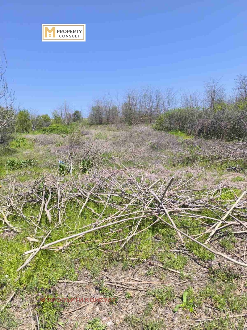 Na sprzedaż  Działka region Plewen , Podem , 1124 mkw | 56761547 - obraz [3]