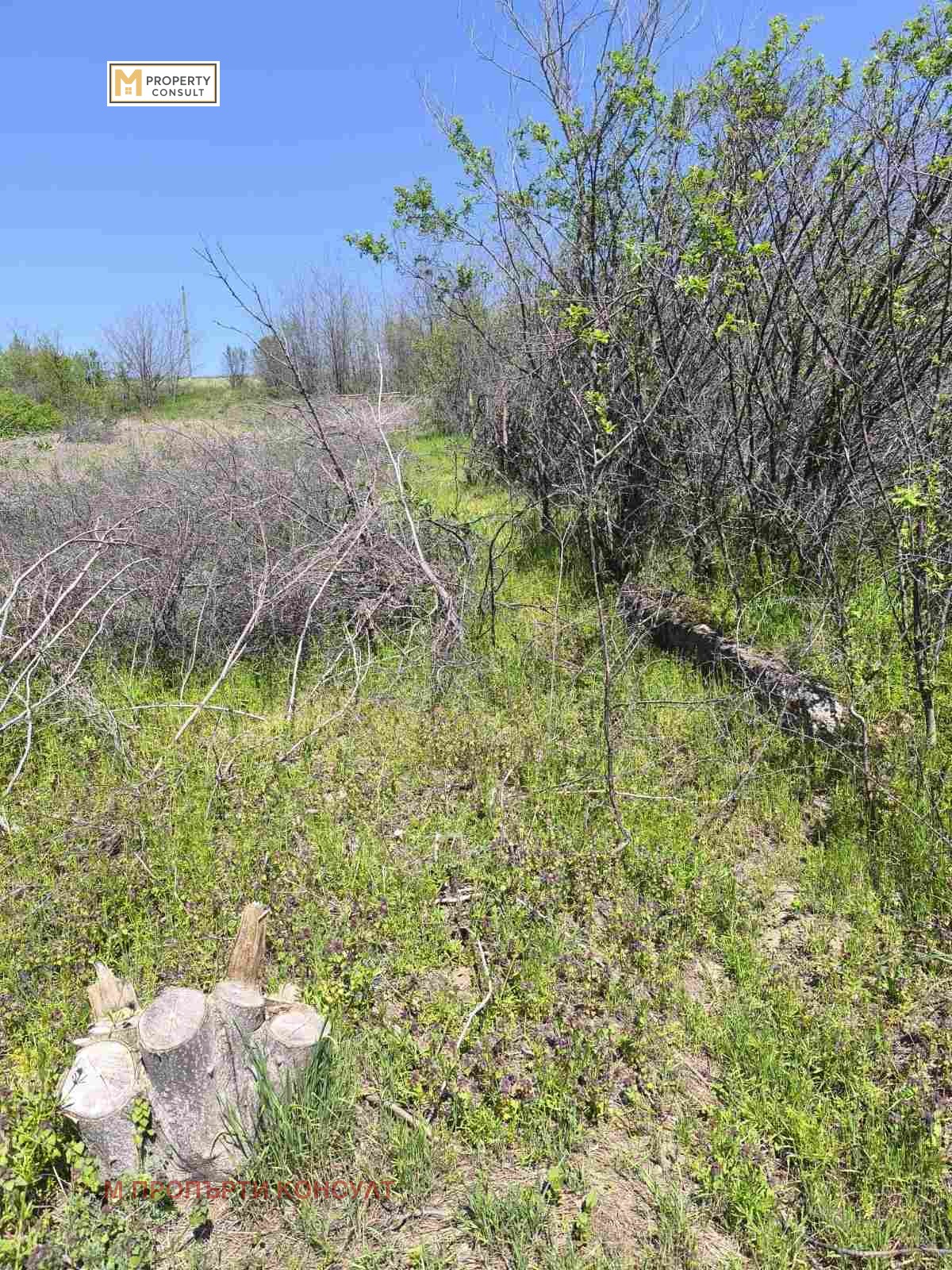 Продава ПАРЦЕЛ, с. Подем, област Плевен, снимка 2 - Парцели - 51920992