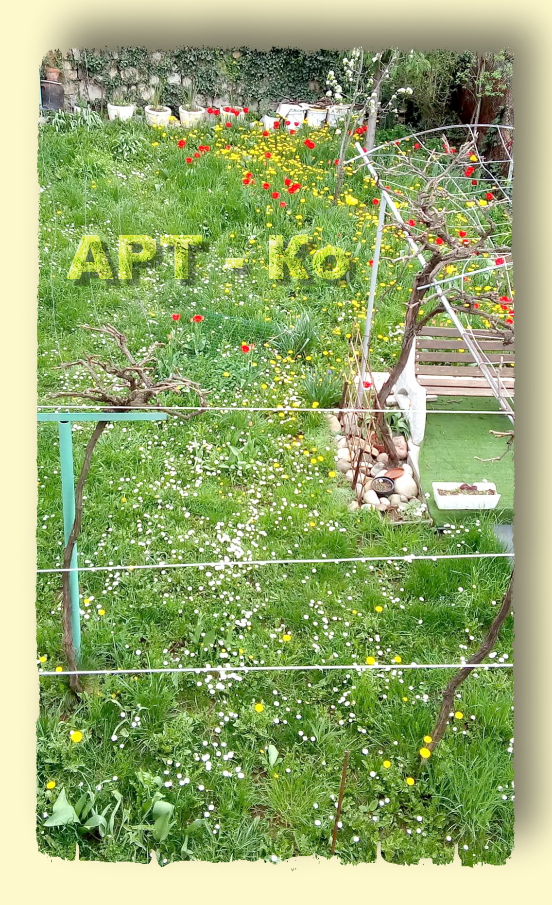 Продава КЪЩА, гр. Перник, Ралица, снимка 16 - Къщи - 53998621