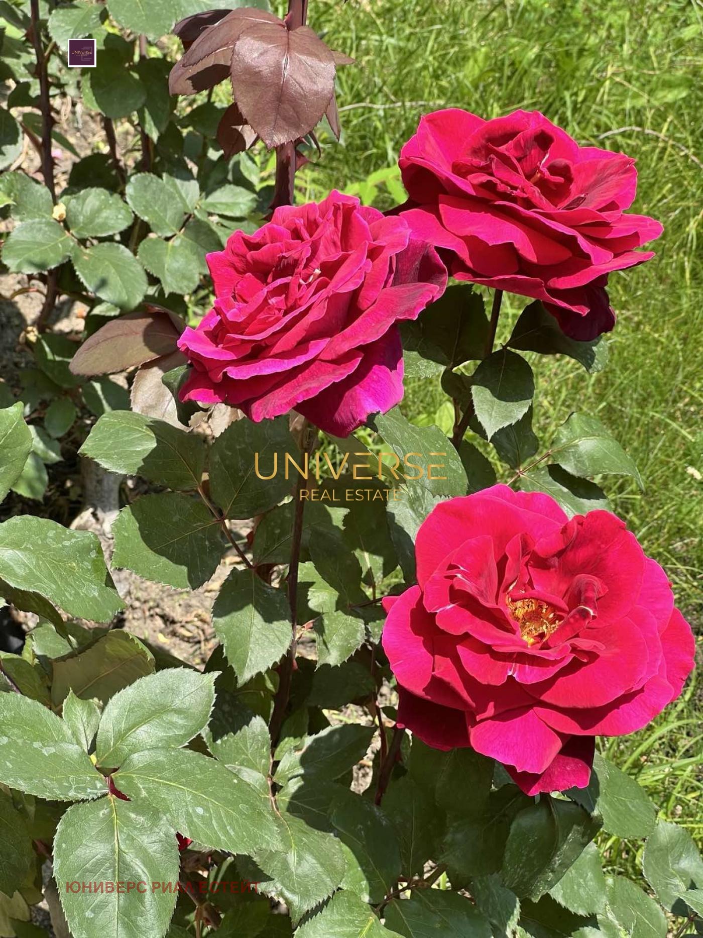 ������� 2-����� | Imot.bg � ����������� 17