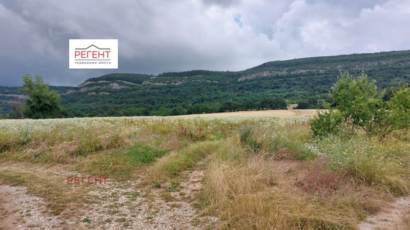 For Sale  Plot region Gabrovo , Prahali , 4131 sq.m | 48362427 - image [6]