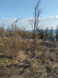 Продава ПАРЦЕЛ, с. Леденик, област Велико Търново, снимка 2