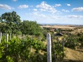 Продава КЪЩА, град Бургас, с. Изворище • 69990 € • 58379296 — Holmes.bg