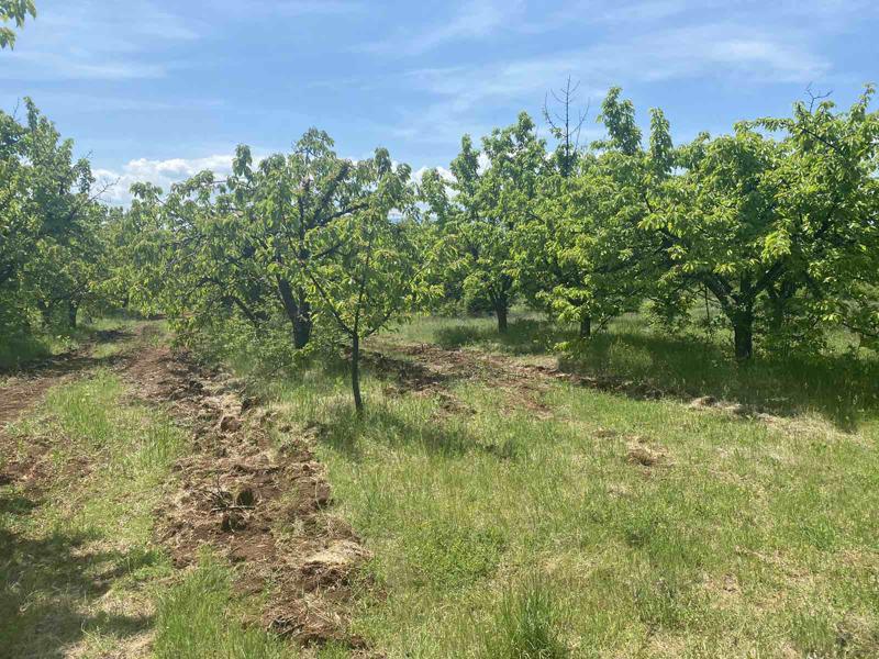 ������� ���������� ���� | Imot.bg � ����������� 5