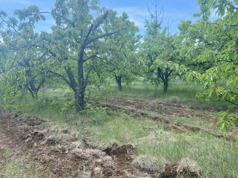 ������� ���������� ���� | Imot.bg � ����������� 6