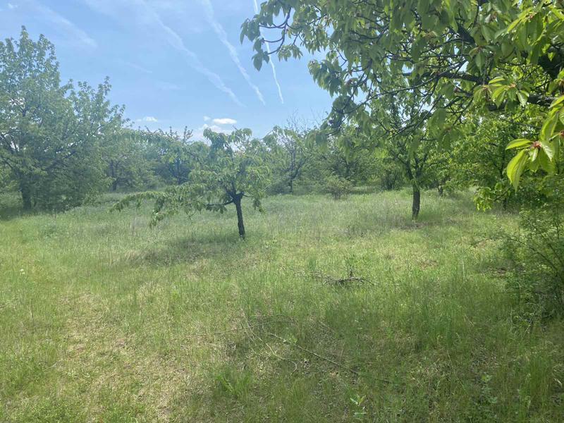 ������� ���������� ���� | Imot.bg � ����������� 7