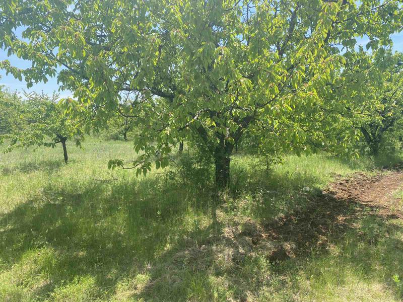 ������� ���������� ���� | Imot.bg � ����������� 4