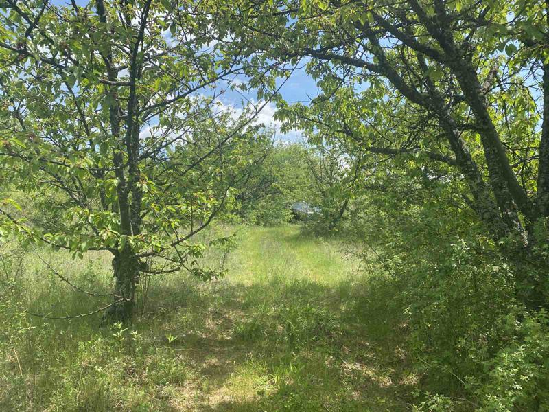 ������� ���������� ���� | Imot.bg � ����������� 9