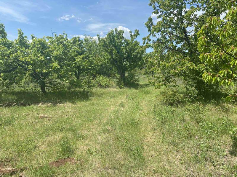 ������� ���������� ���� | Imot.bg � ����������� 2